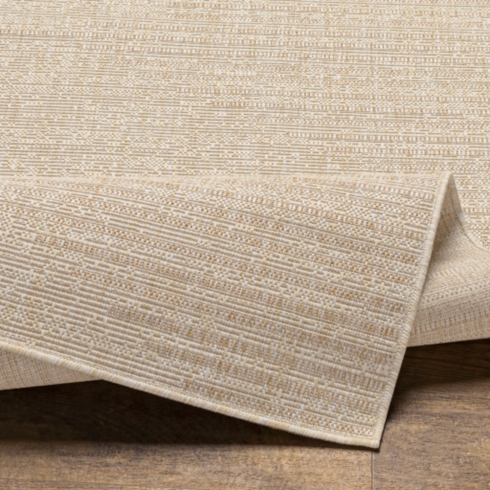 Eagean Indoor/Outdoor Rug | 2419