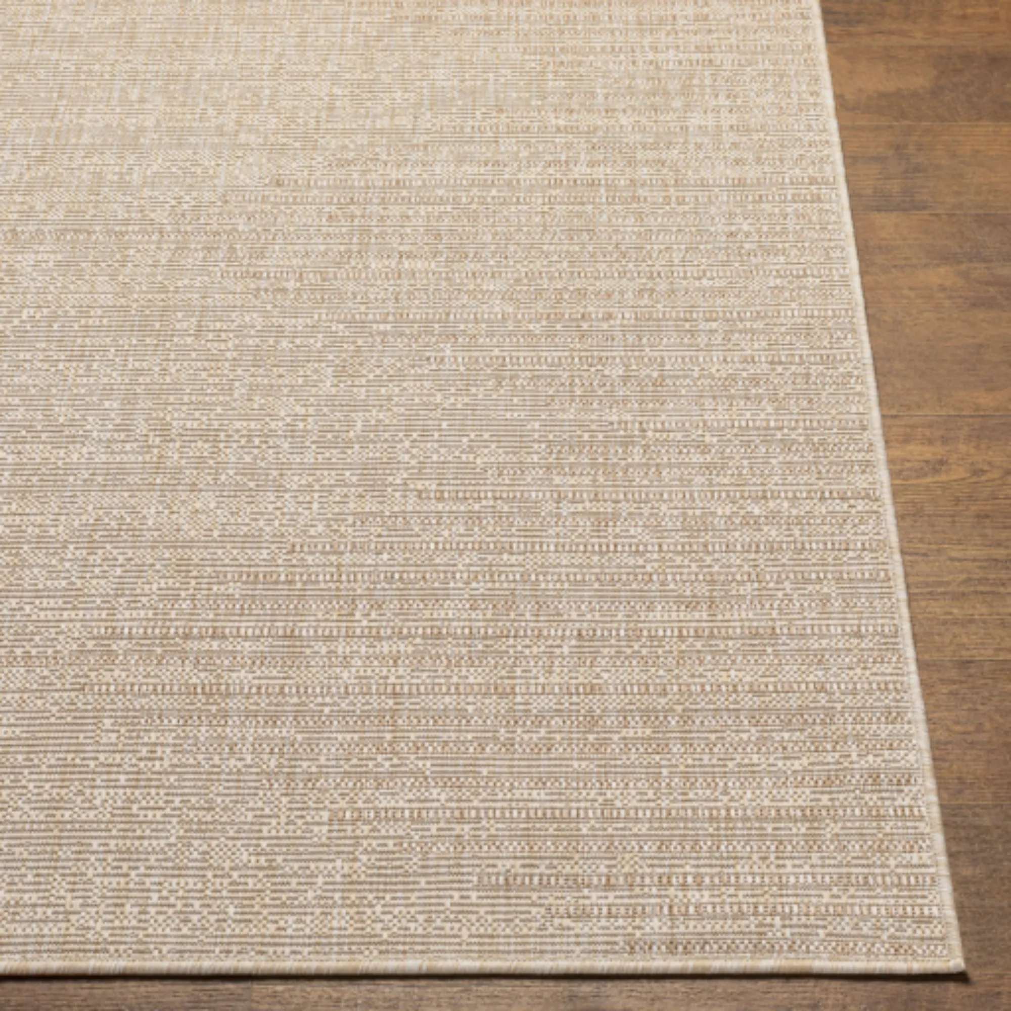 Eagean Indoor/Outdoor Rug | 2419