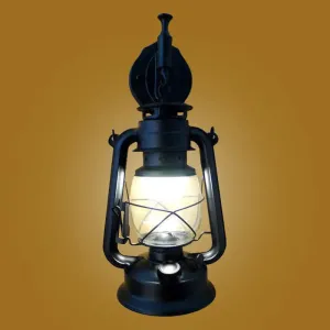 Industrial 1-Light Wall Lamp with Lantern Glass Shade in Black