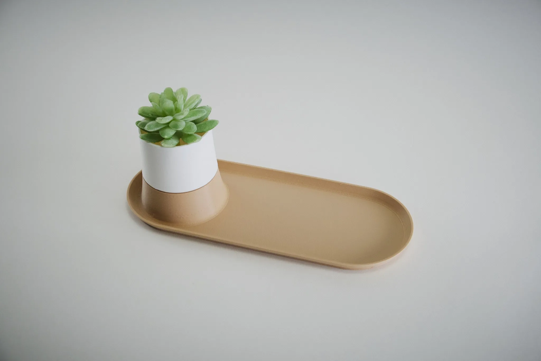 Noona Succulent Pot & Tray