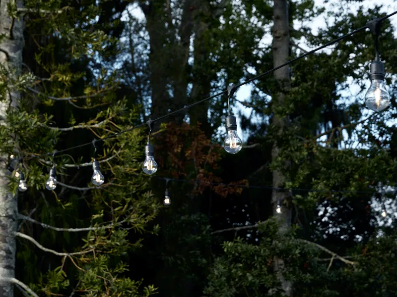 Vintage Festoon  Lights