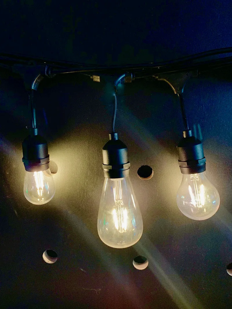Vintage Festoon  Lights